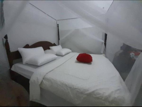 Dream Apartment Seguku katale